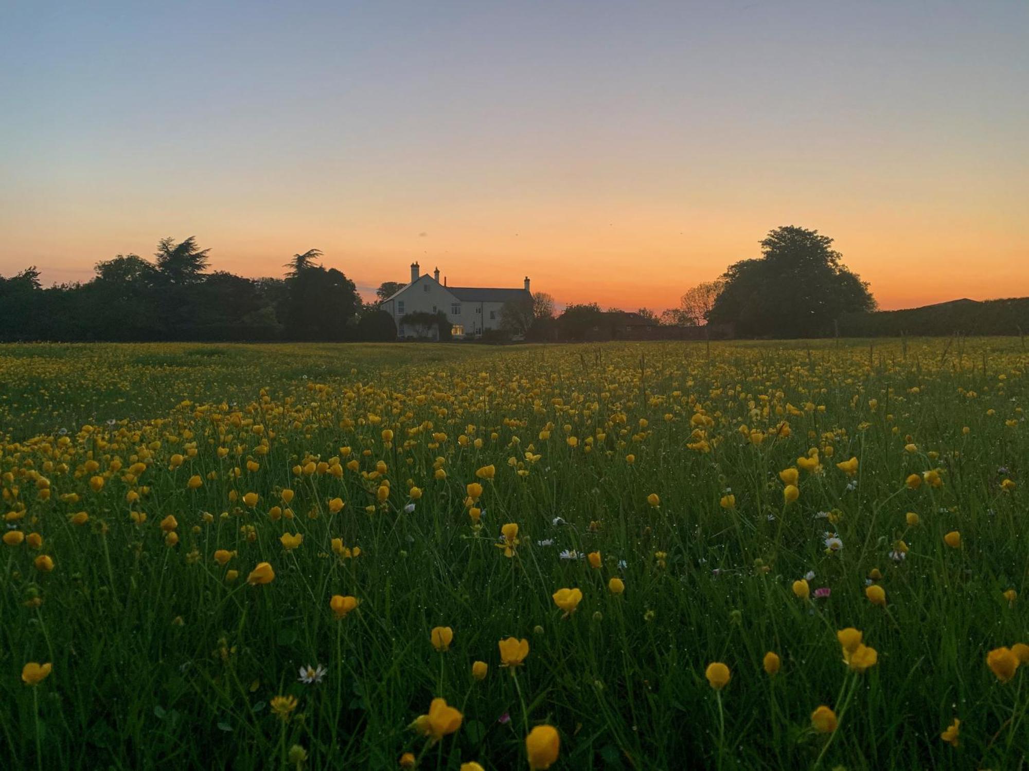 The Chestnuts Country House Boutique B&B Kilvington 외부 사진